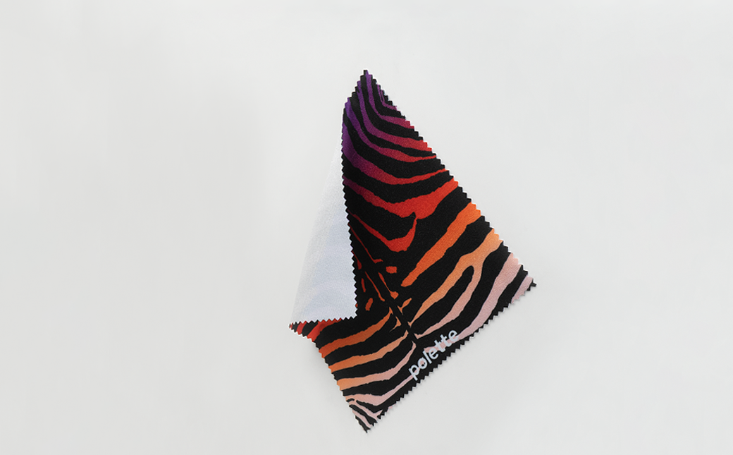 Savanna Zebra