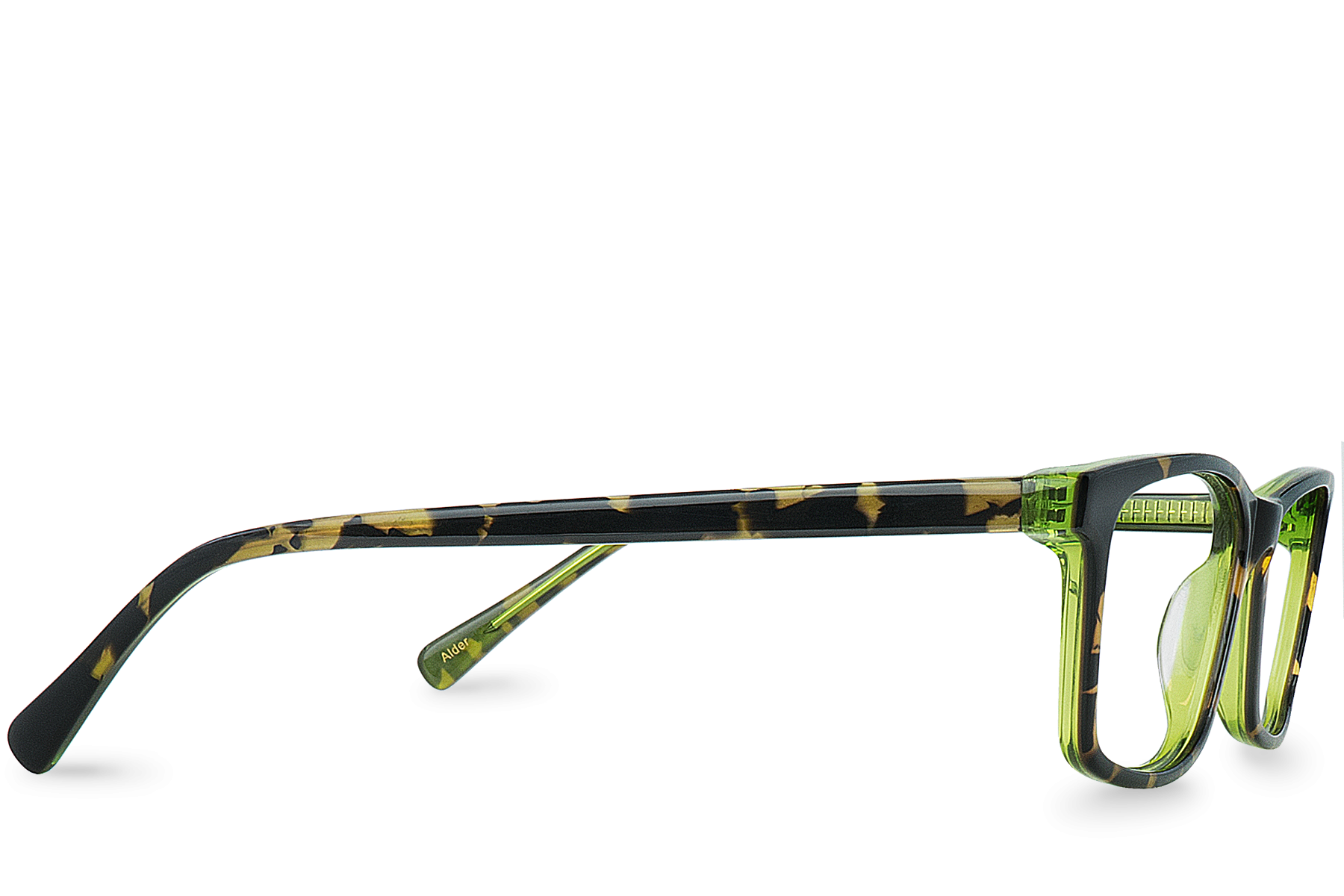 Alder
