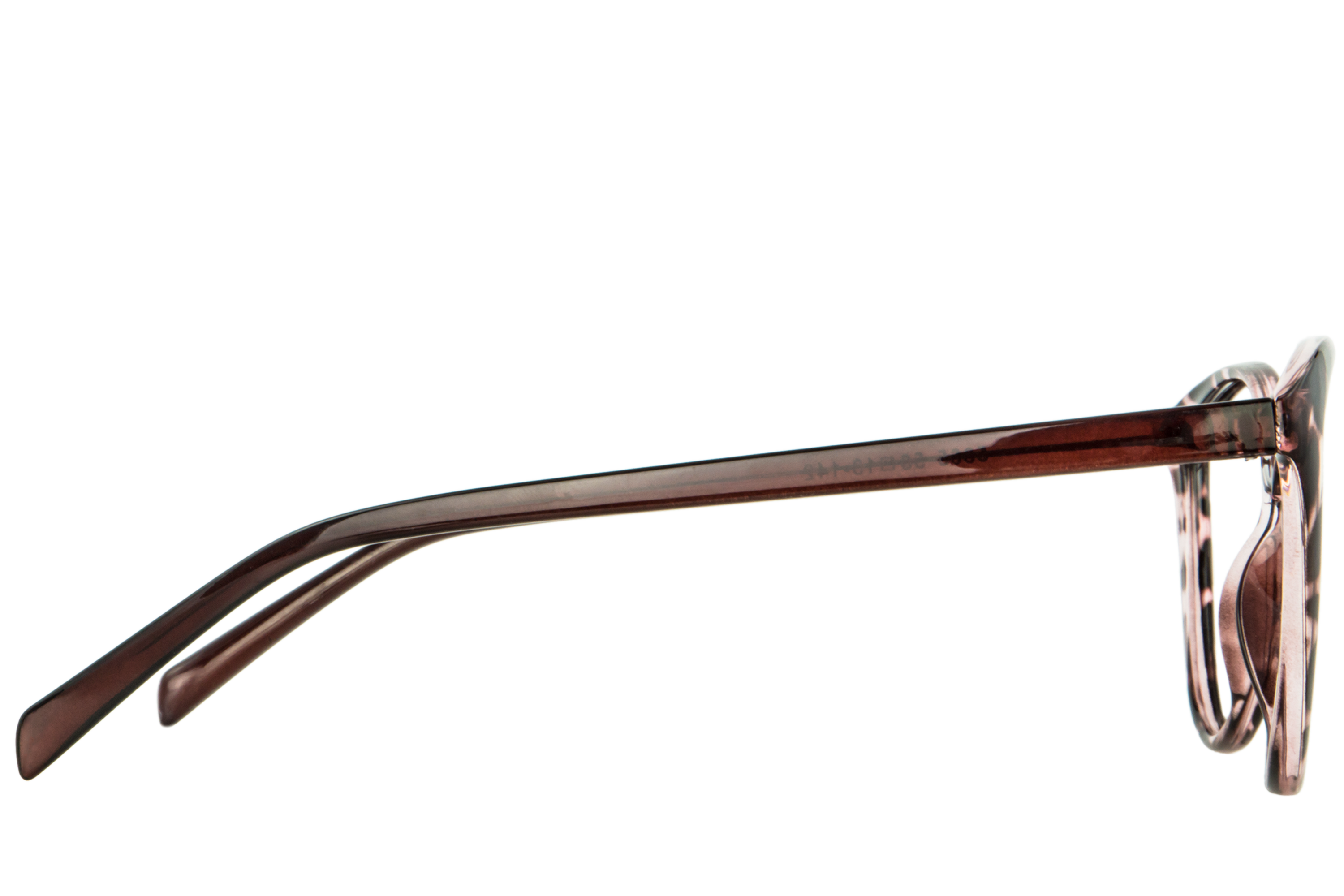 Anna Écaille