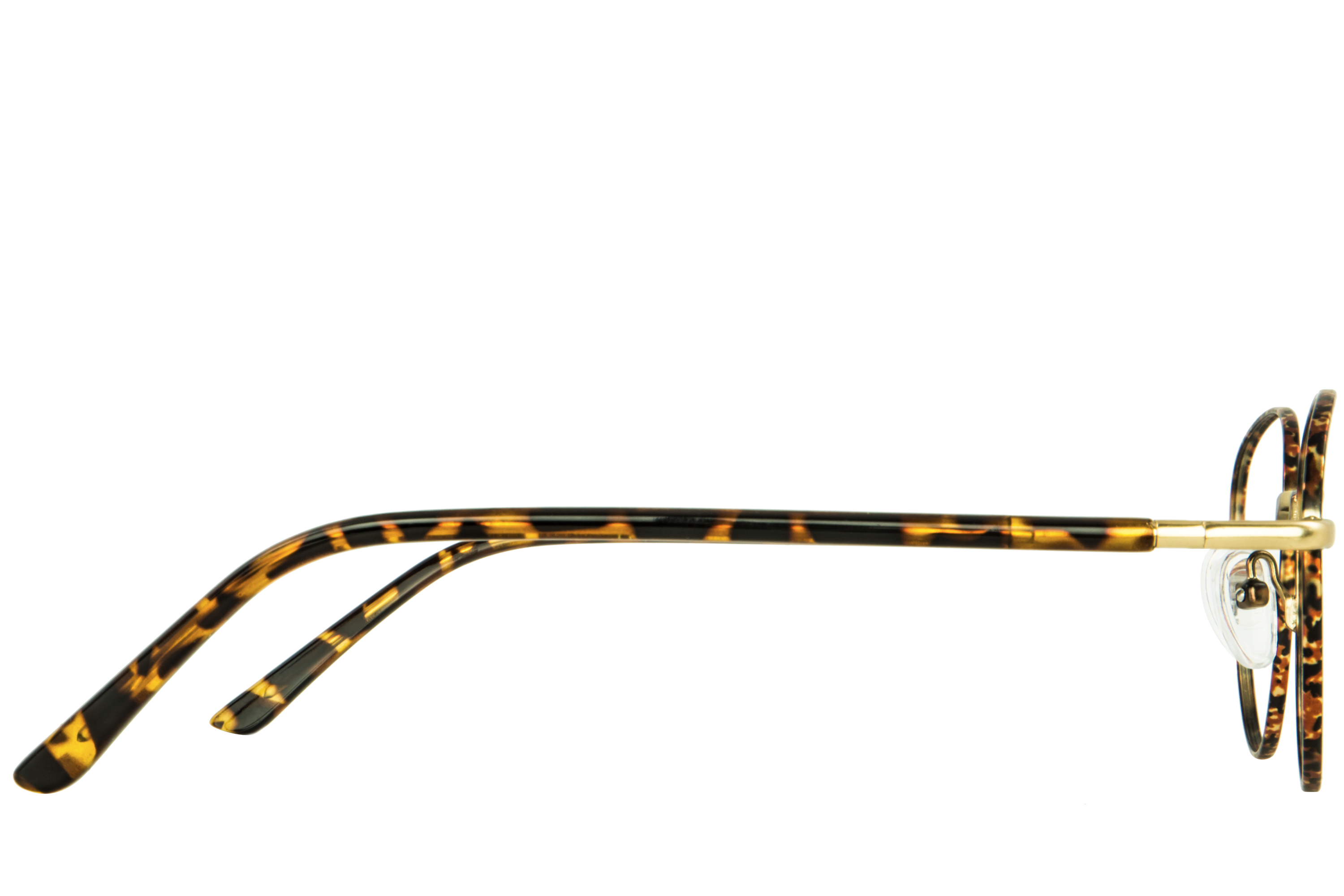 Bellini Écaille