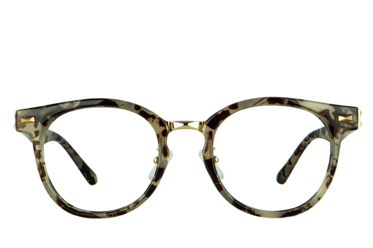 Bubalus Brown