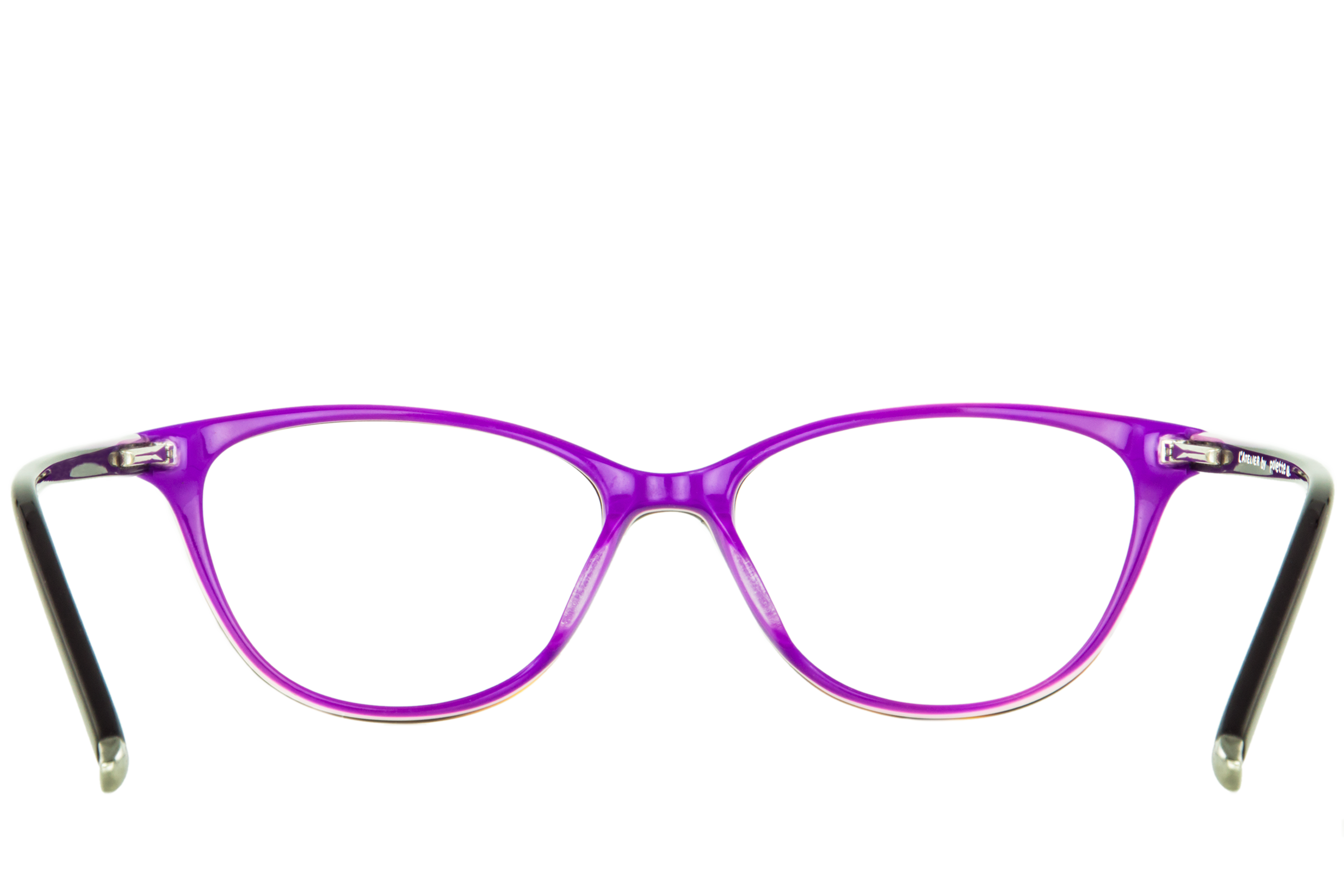 Chapon Purple