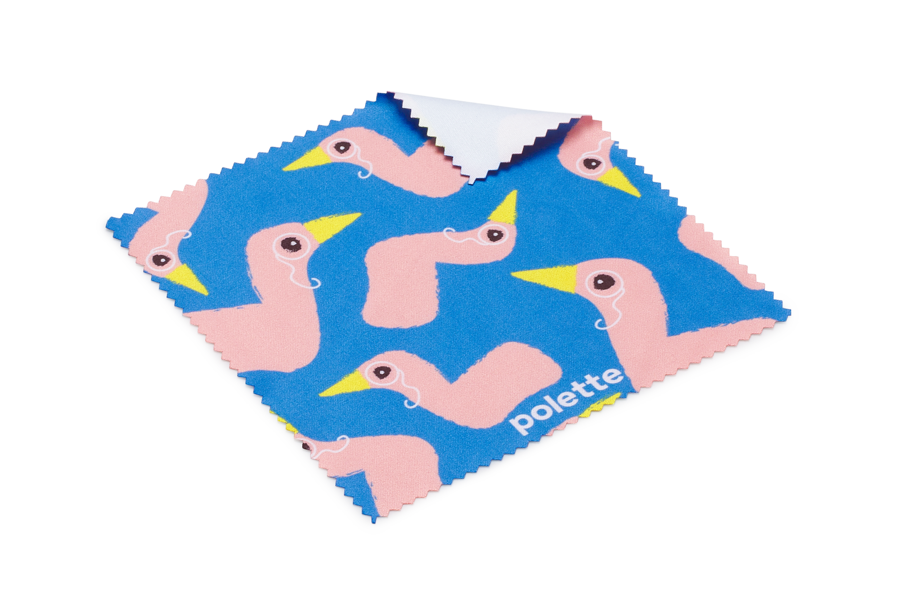 Cute Bird