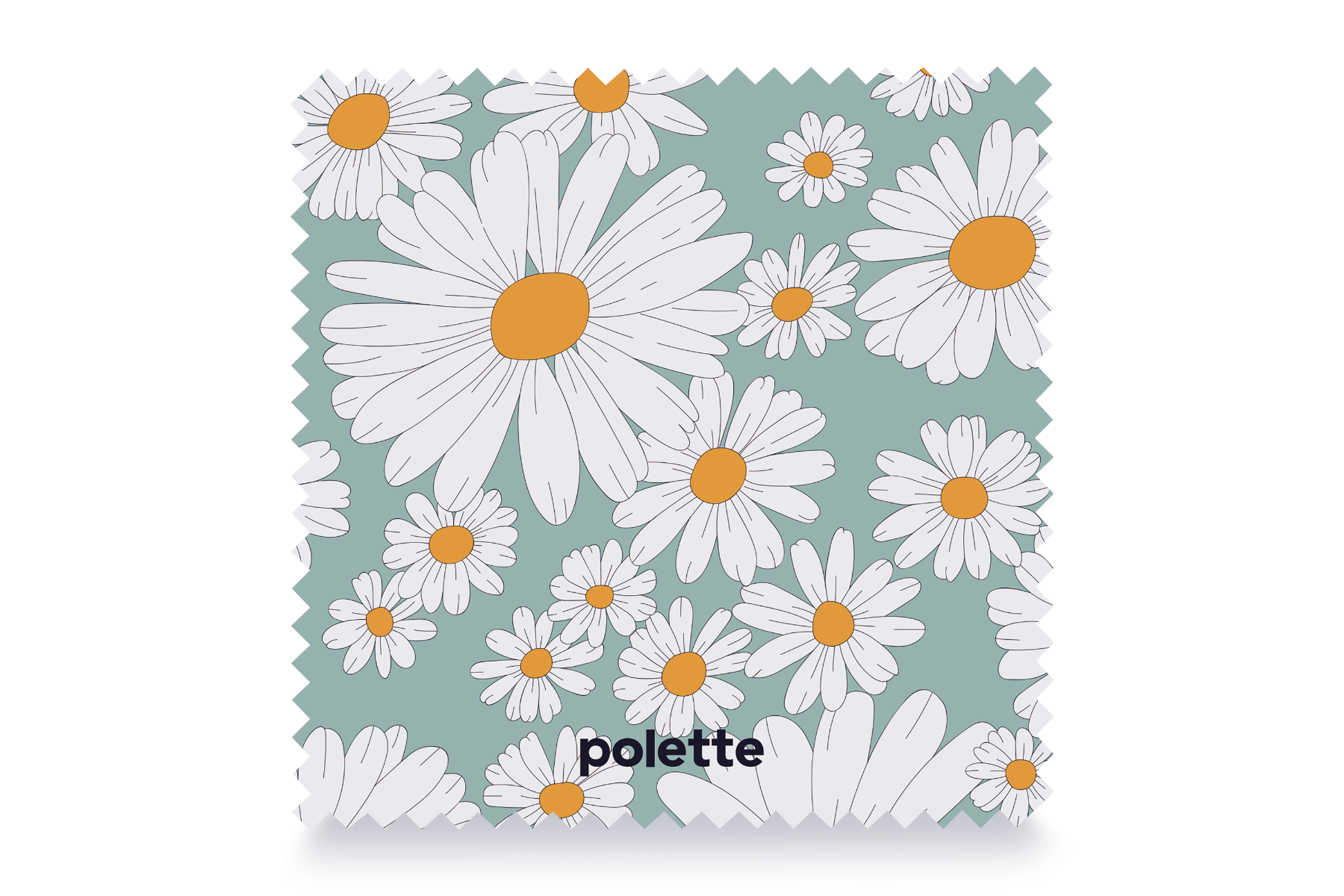 Garden Daisy