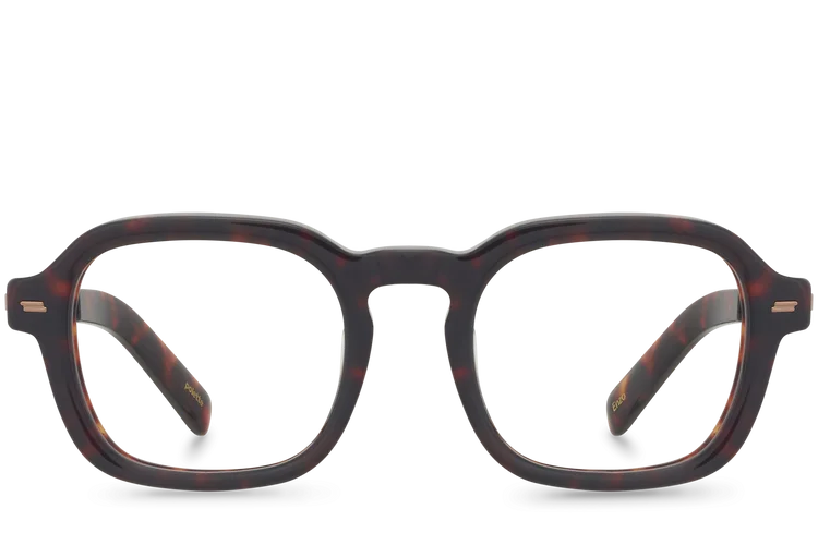 Enzo View Brown
