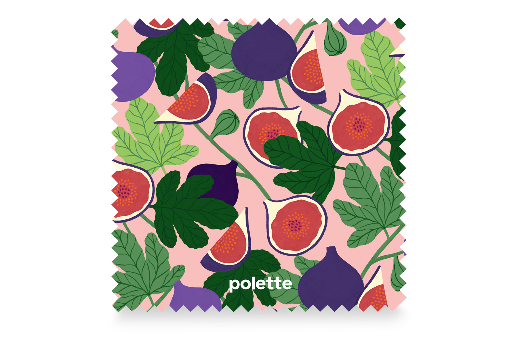 Fresh Fig