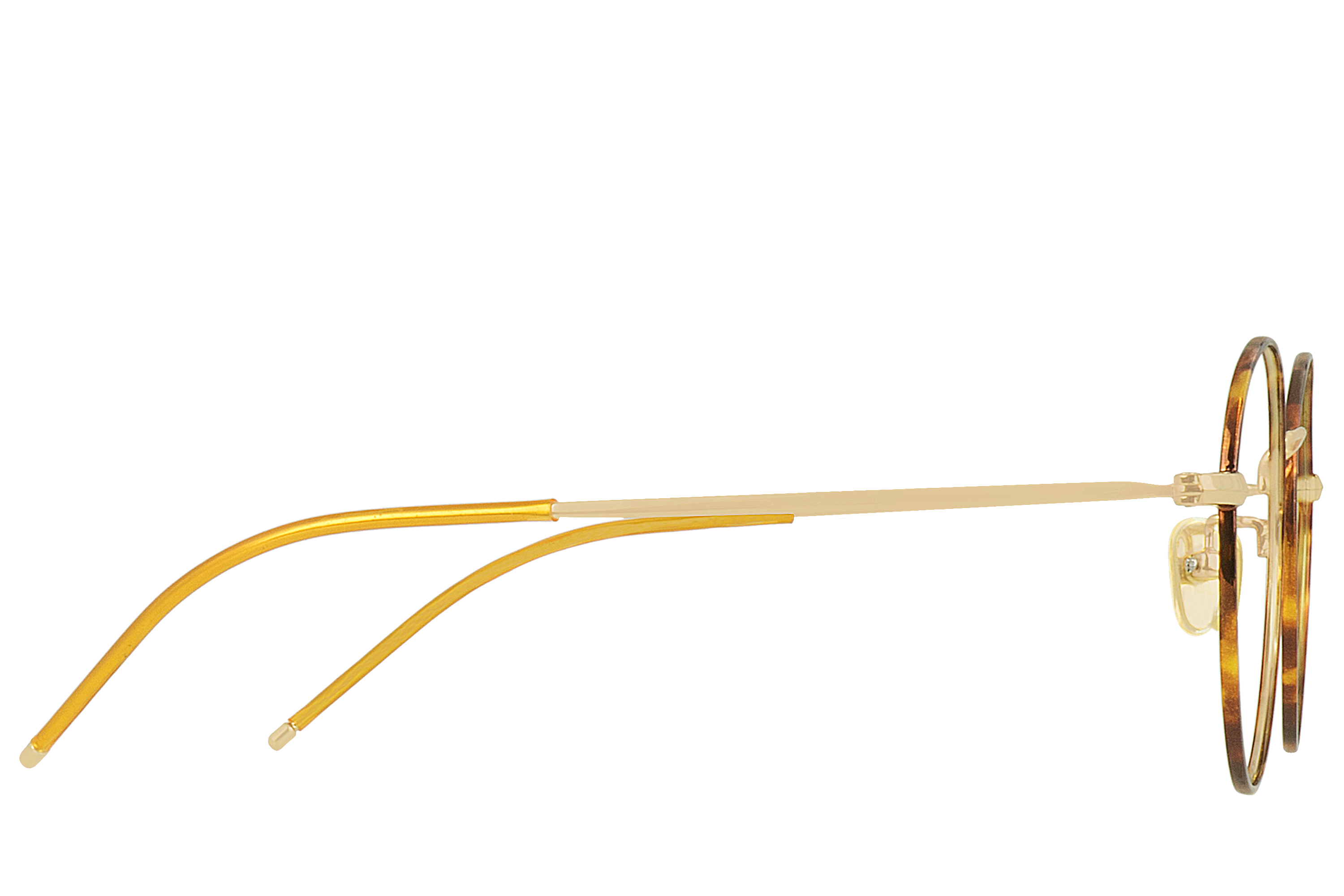 Gomez Écaille