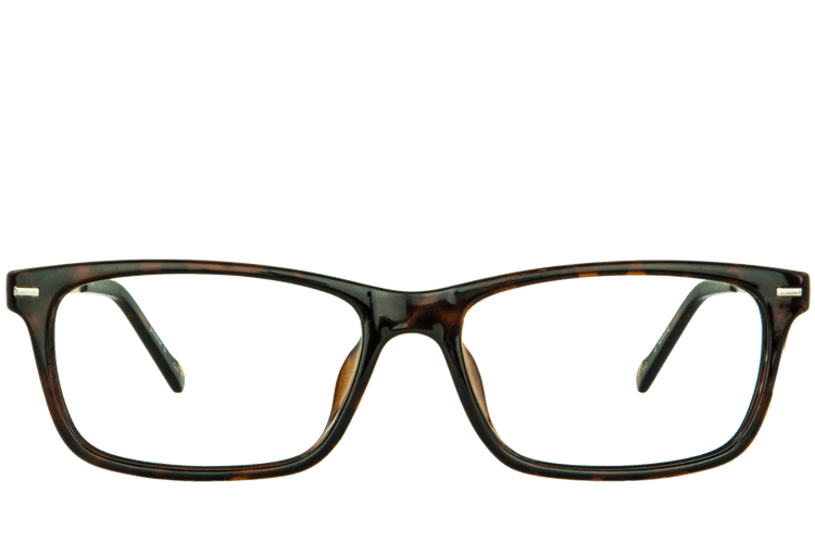 Inception Brown