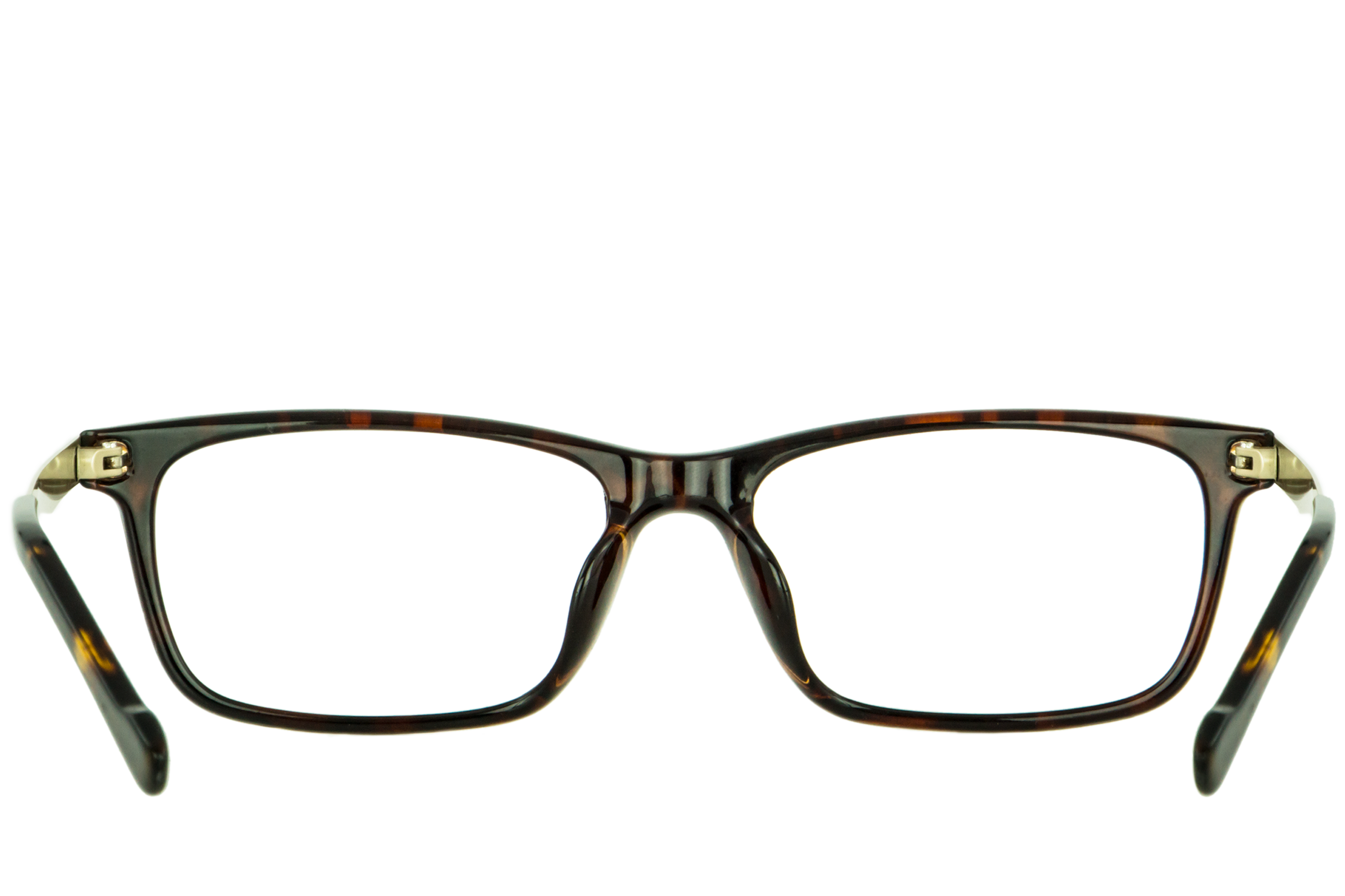 Inception Brown