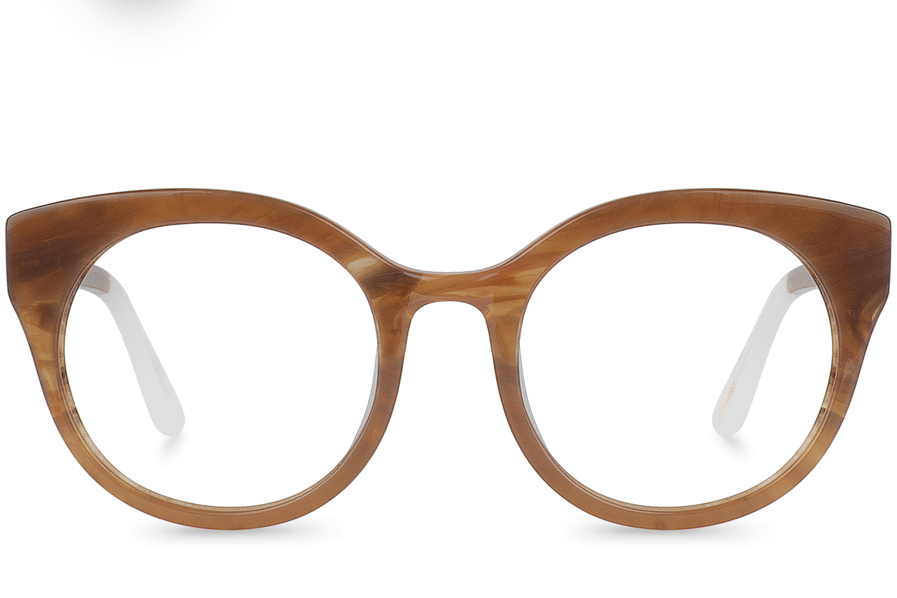 Kittiwake Brown