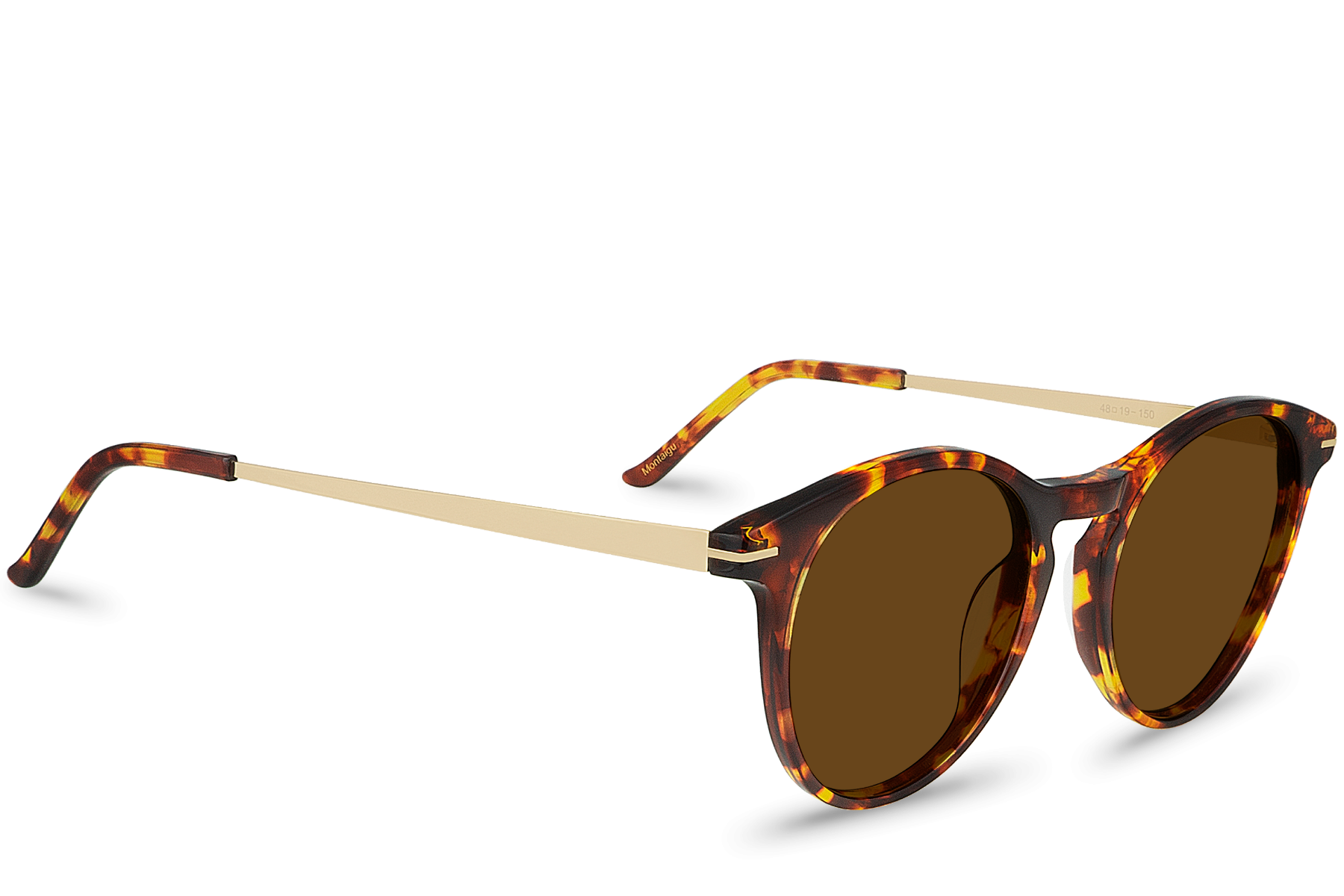 Montaigu Brown