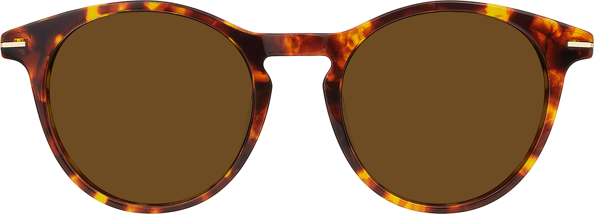 Montaigu Brown