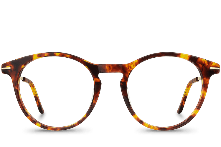 Montaigu View Brown