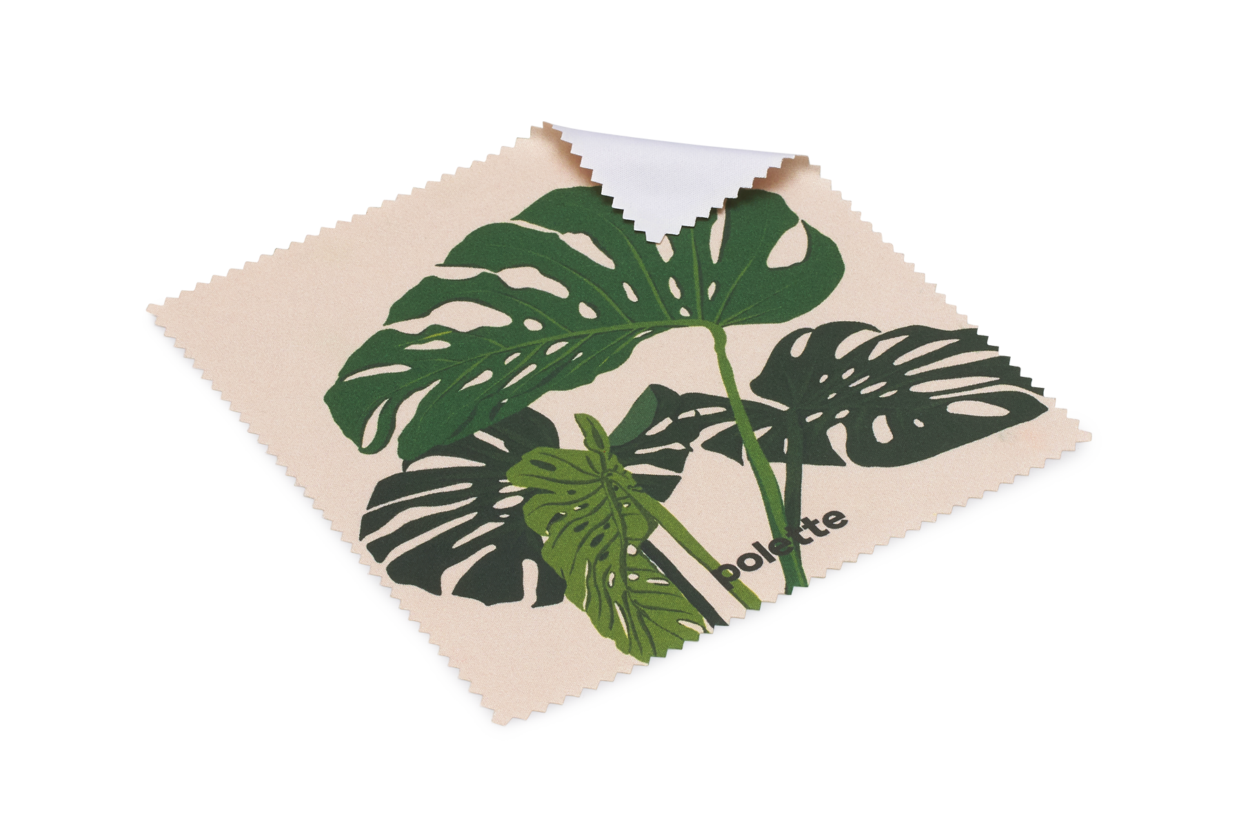 Natural Monstera