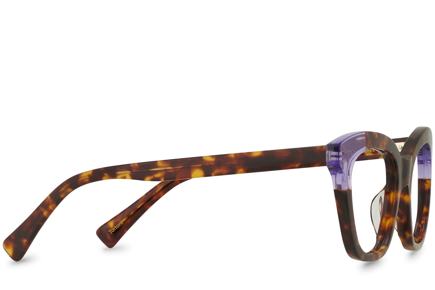 Tortoni Bi