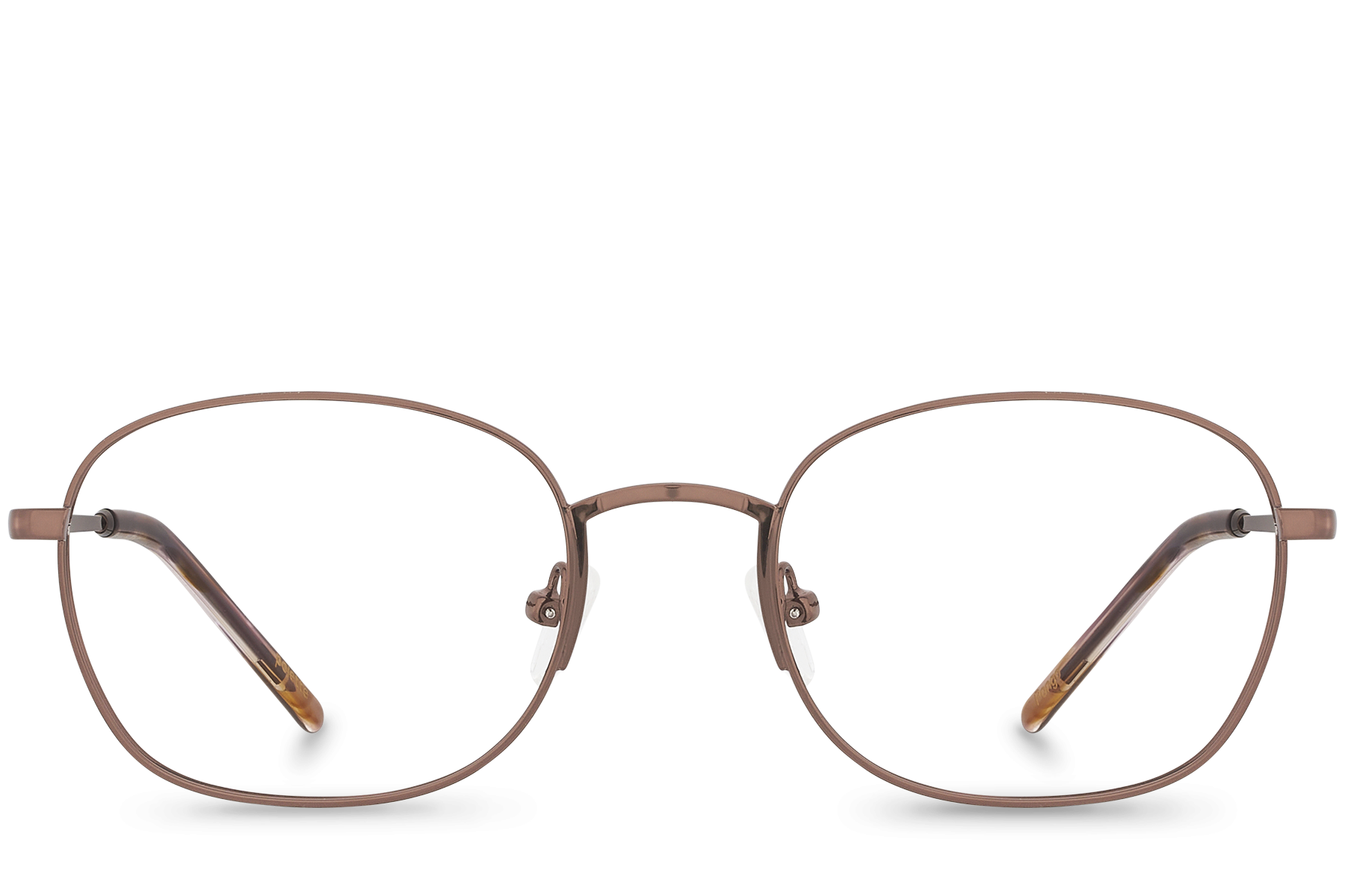 Pongo Bronze