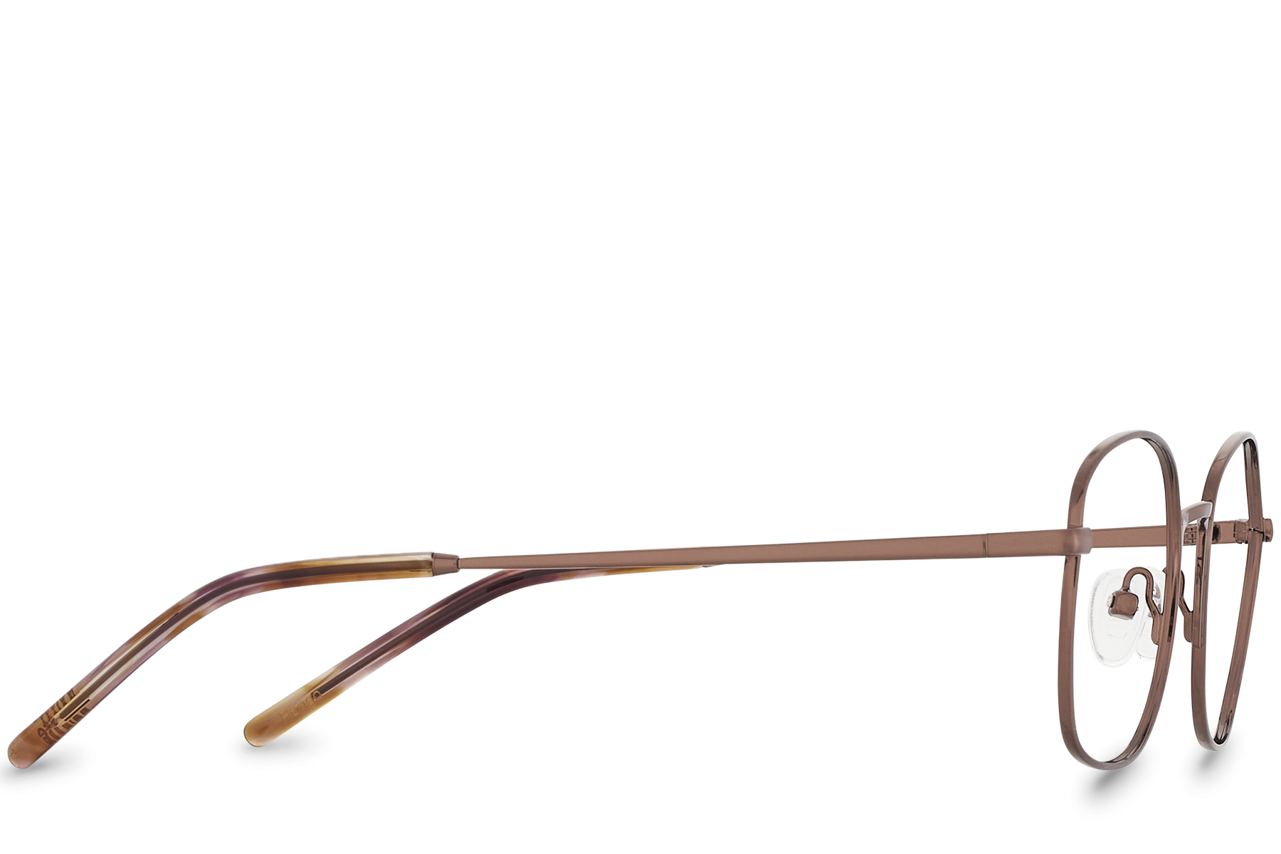 Pongo Bronze
