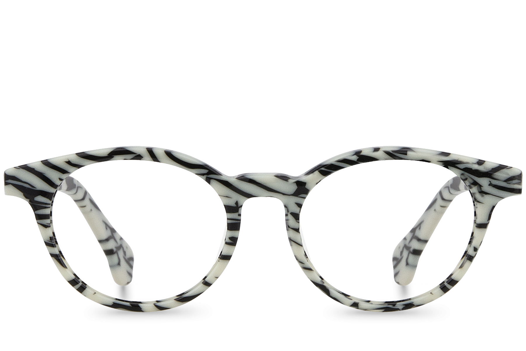 Rafiki View Zebra