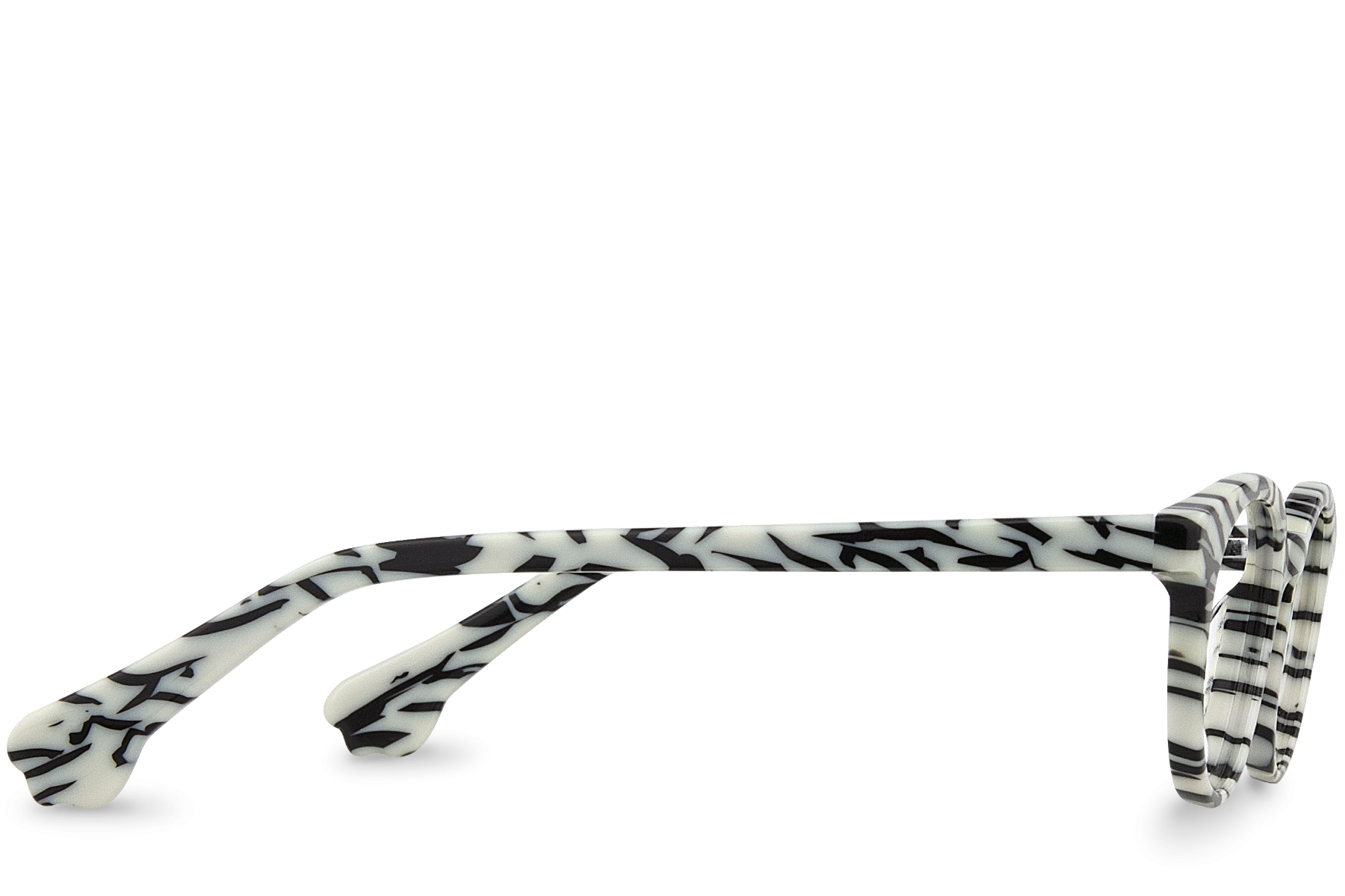 Rafiki View Zebra