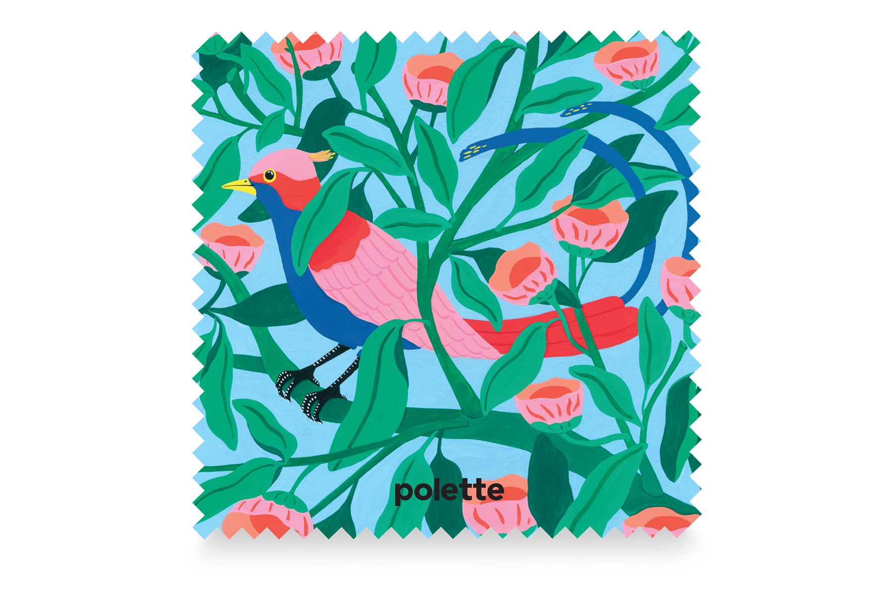 Rainforest Bird