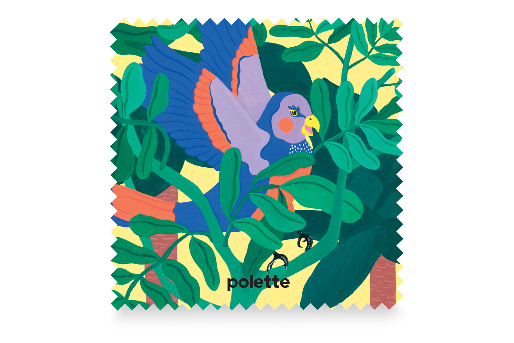Rainforest Parakeet