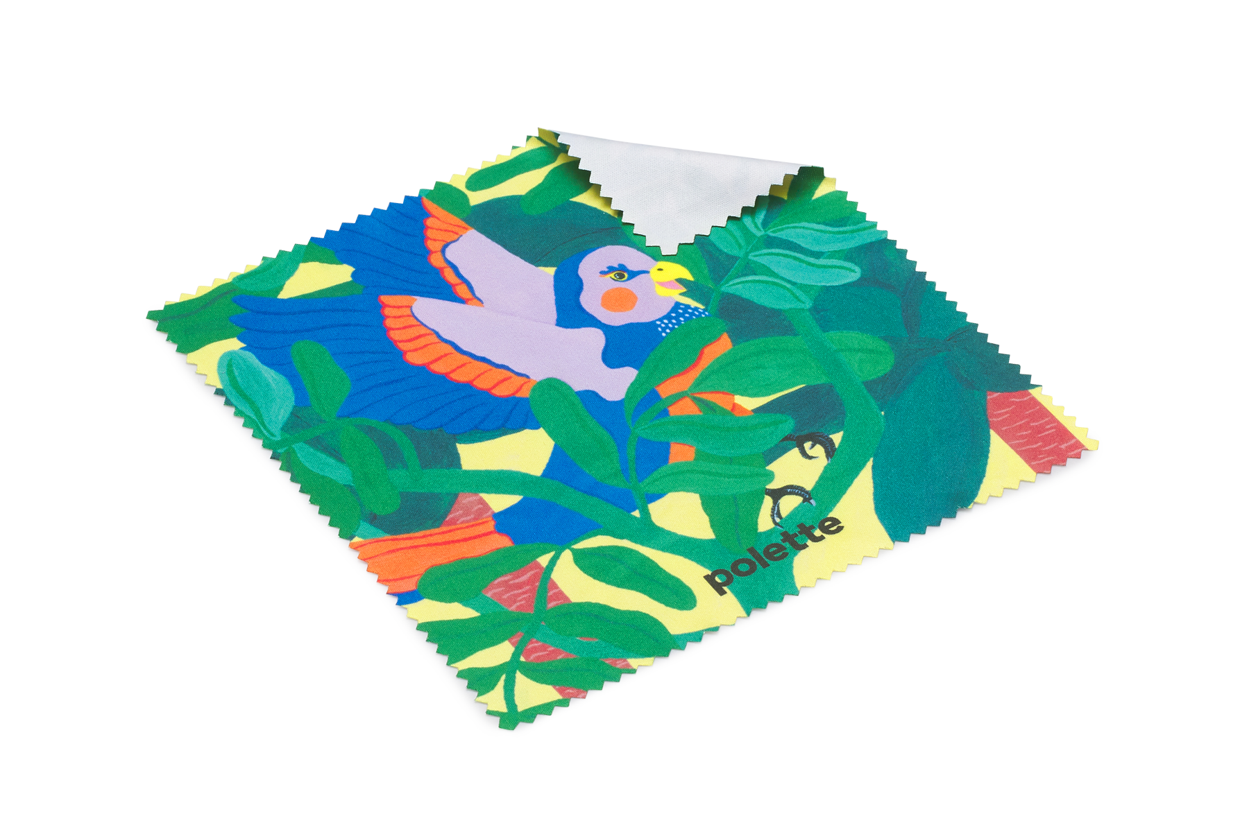 Rainforest Parakeet