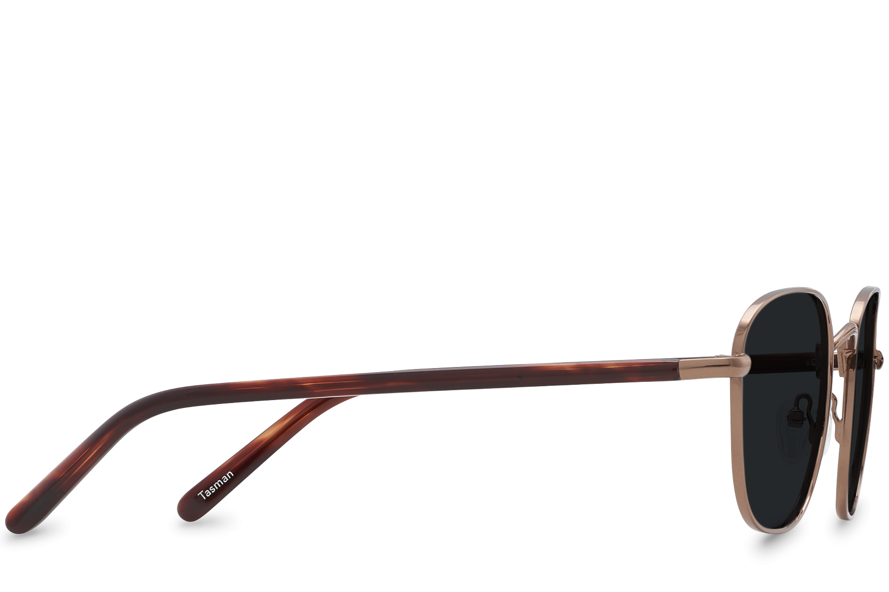 Tasman Bronze