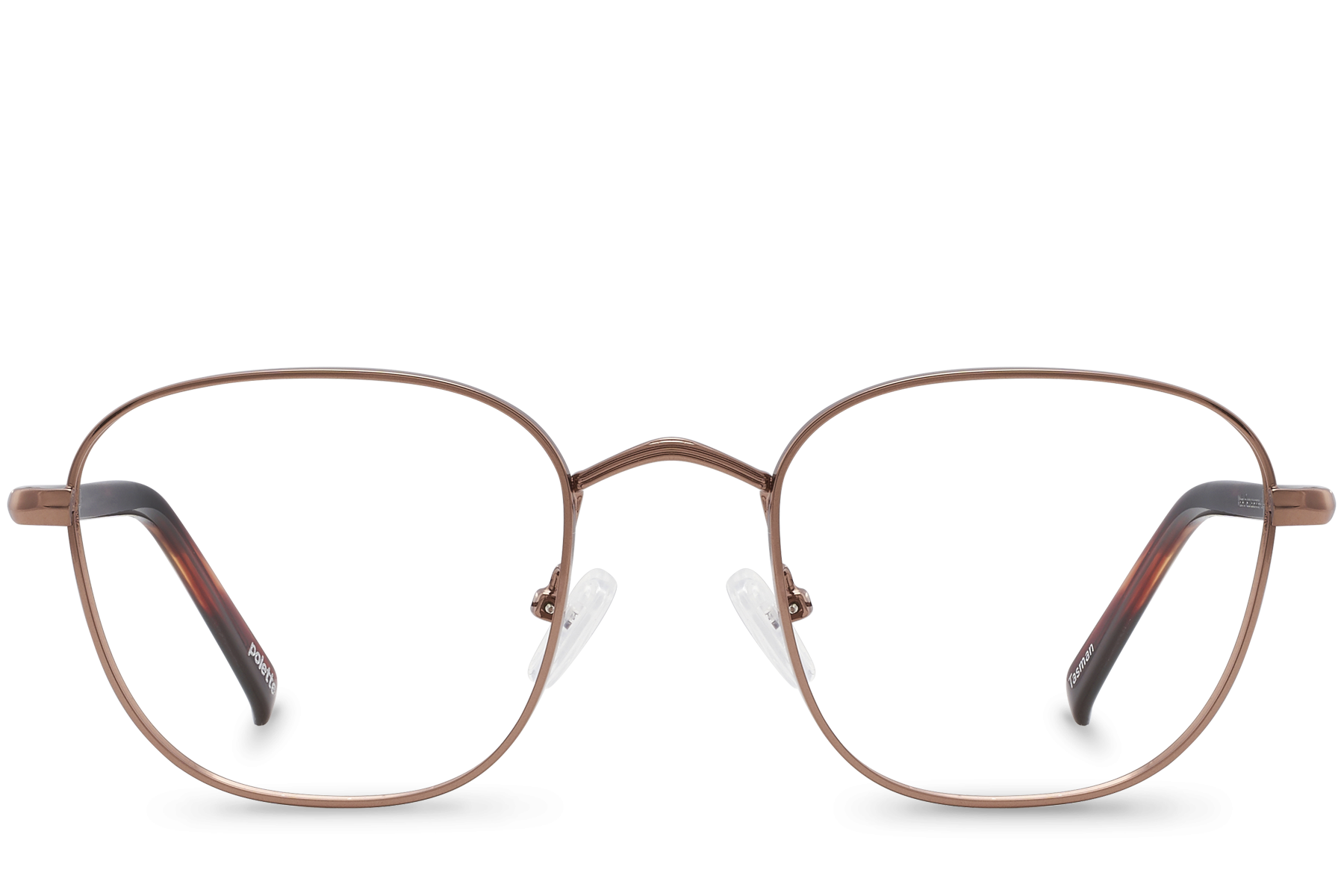 Tasman View Bronze