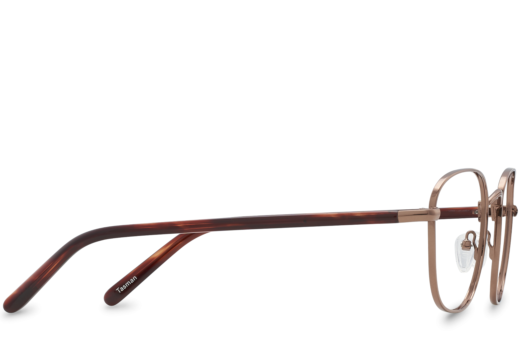 Tasman View Bronze