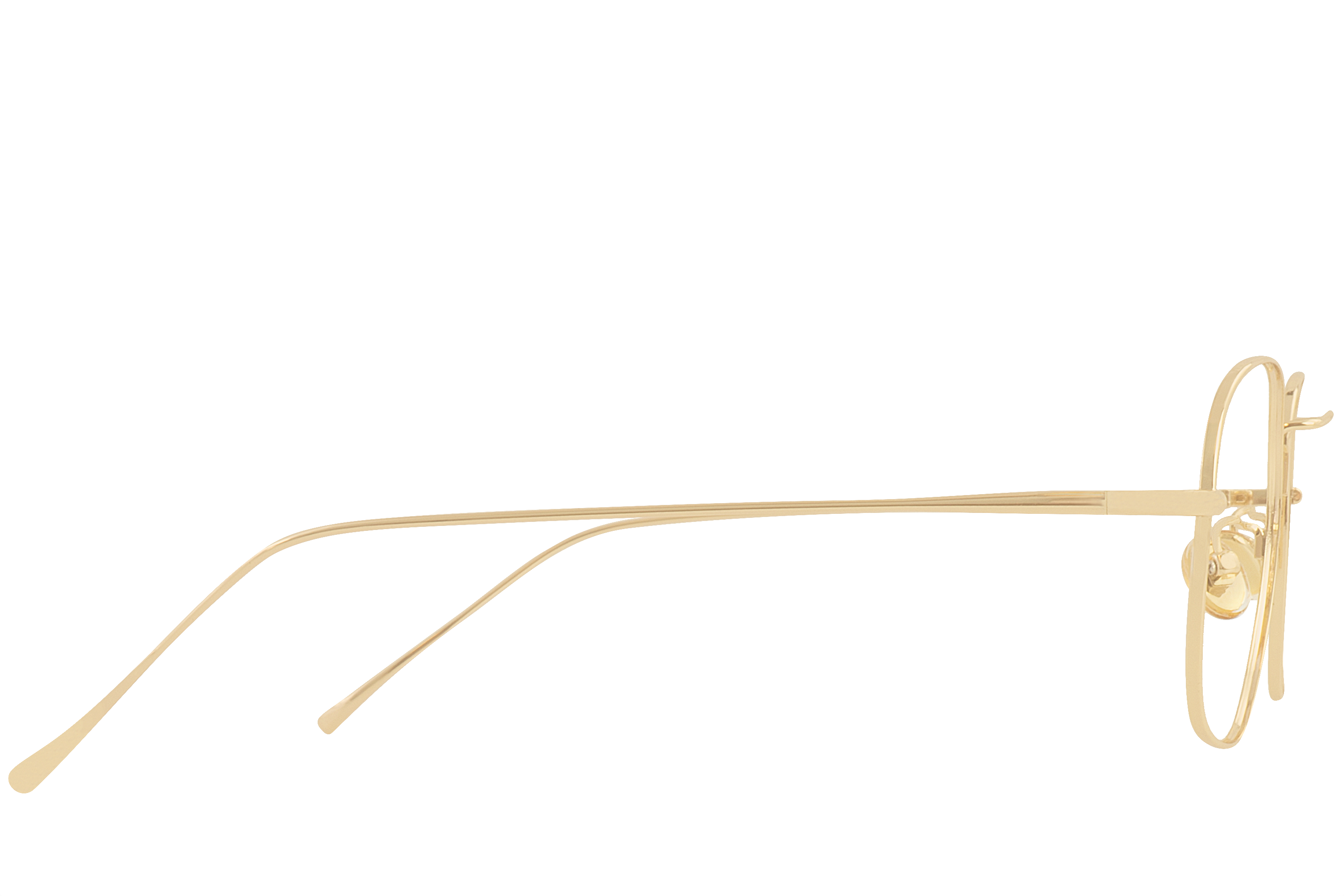 Ted