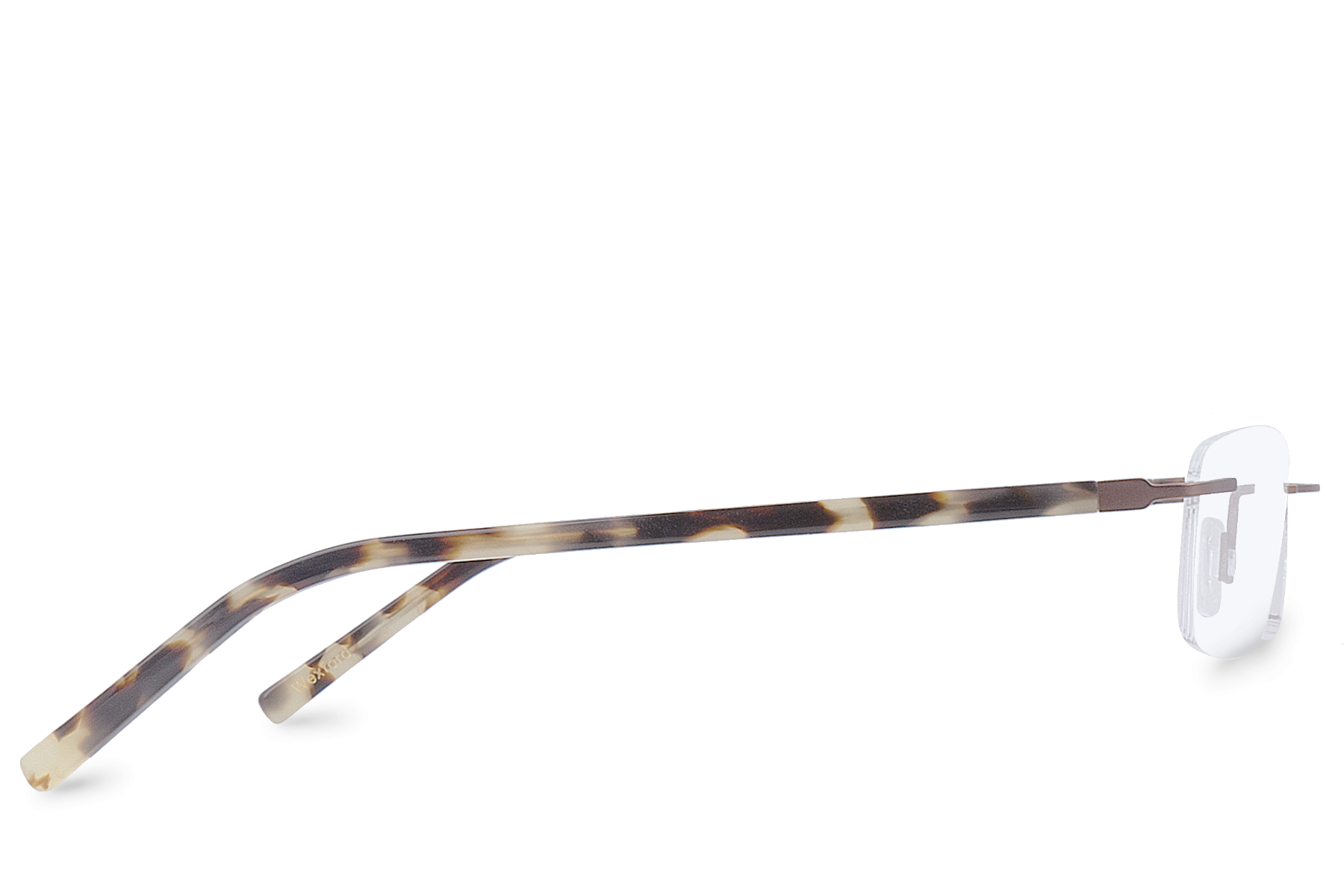 Wexford Écaille