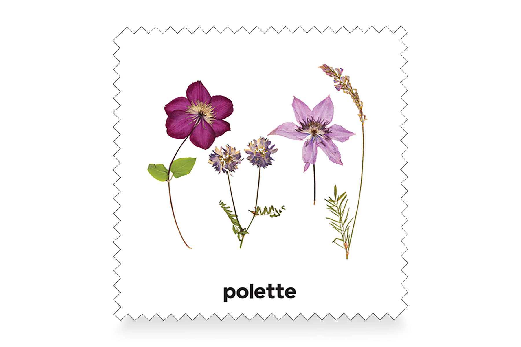 Botanic Purple