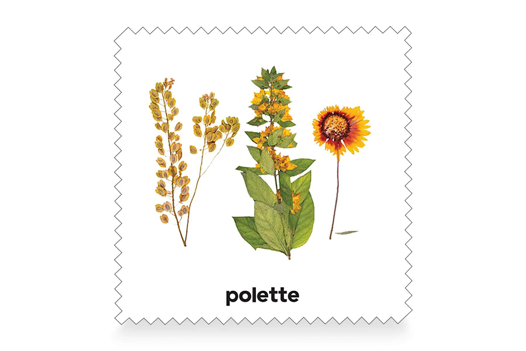Botanic