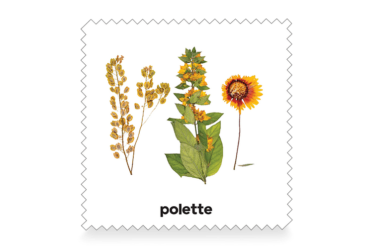 Botanic