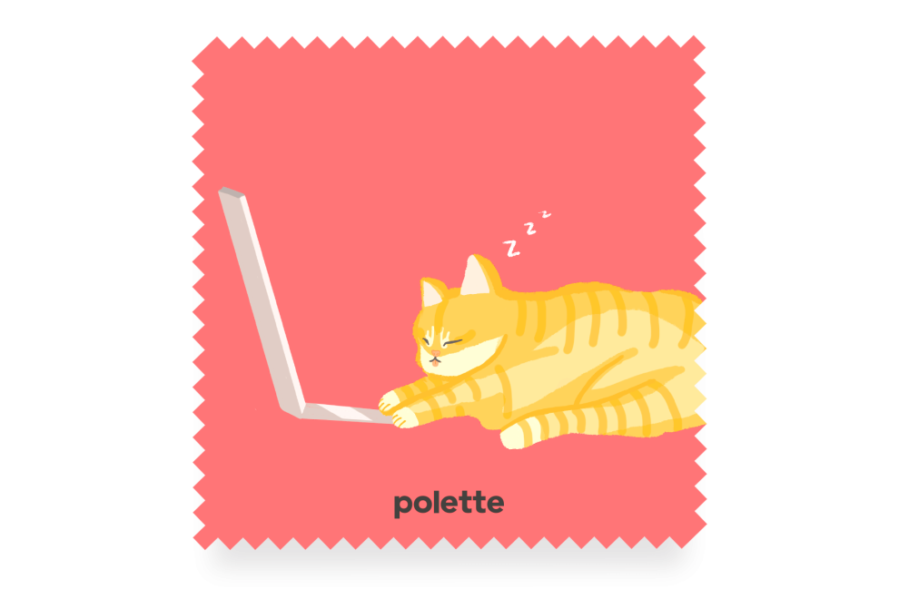 Sleeping Cat