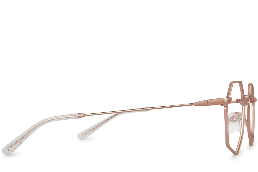 Argiope View