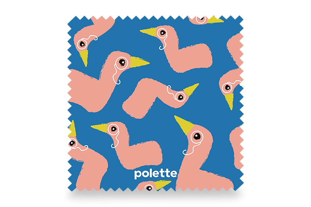 Cute Bird