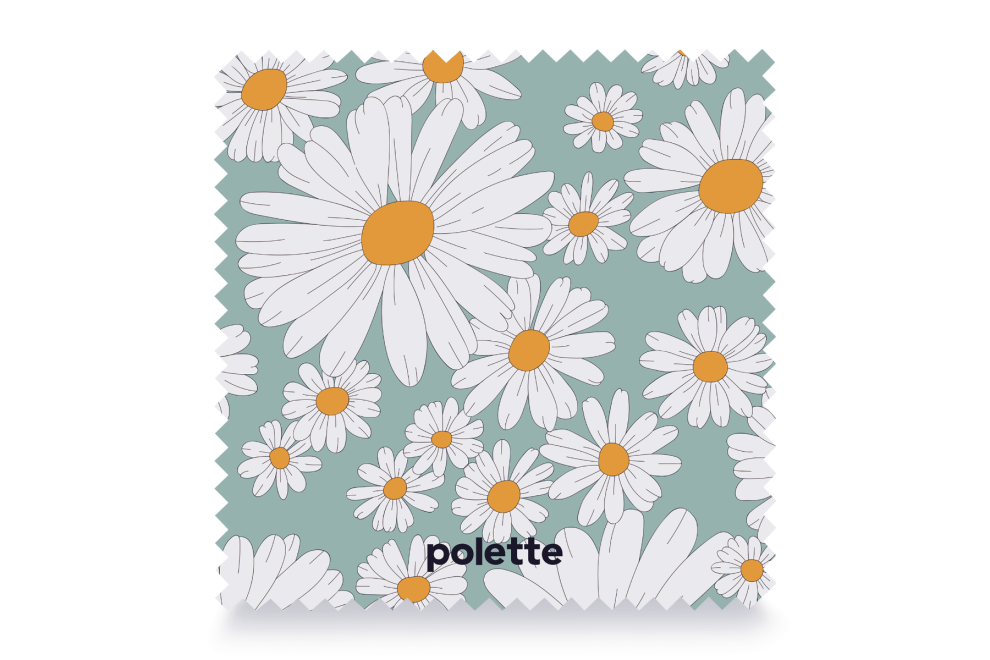 Garden Daisy