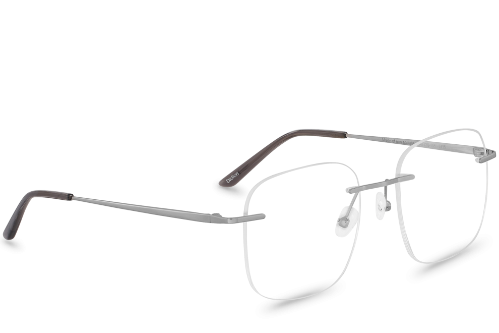 Didion Silver