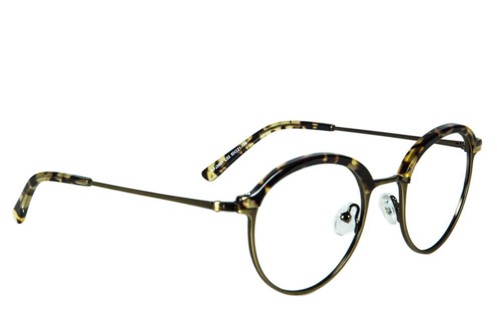 Échide