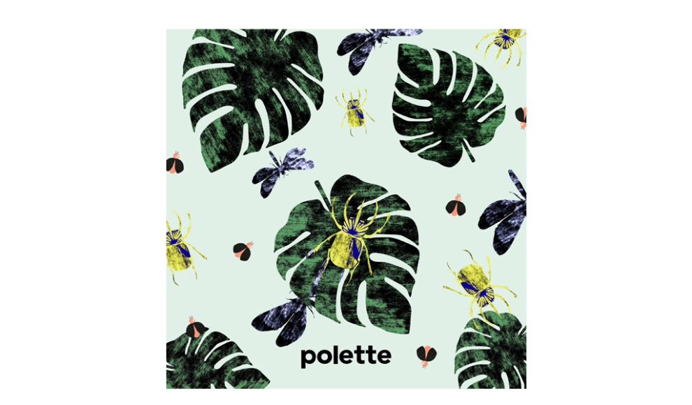 Fauna Beetles