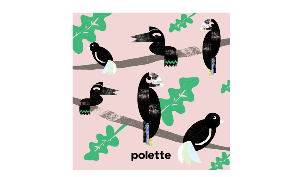 Fauna Birds