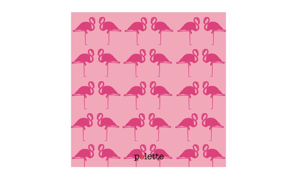 Flamingo Paradise