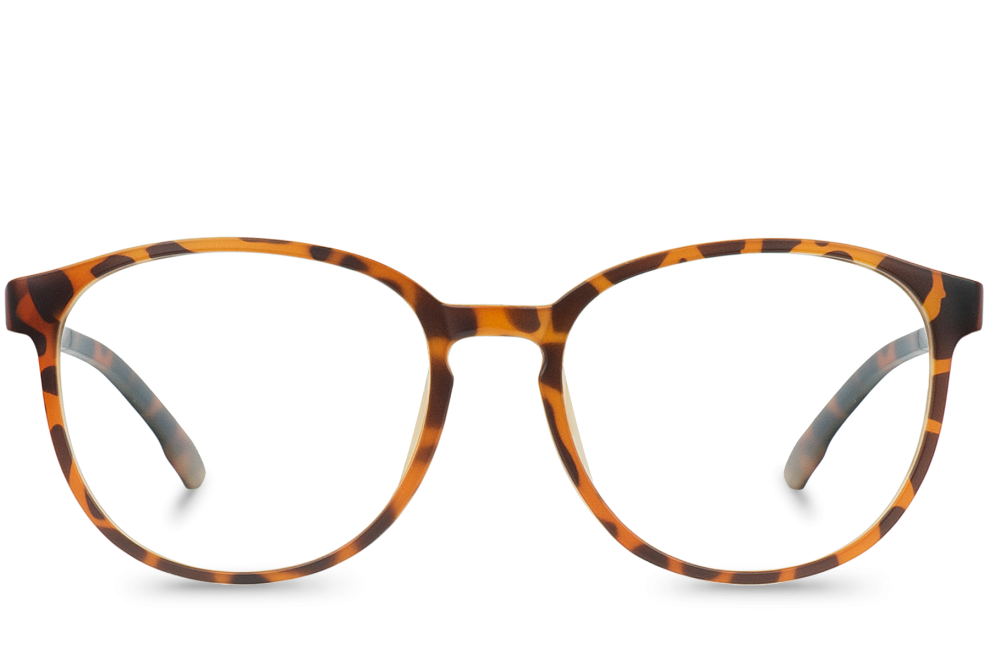 Gazelle Écaille