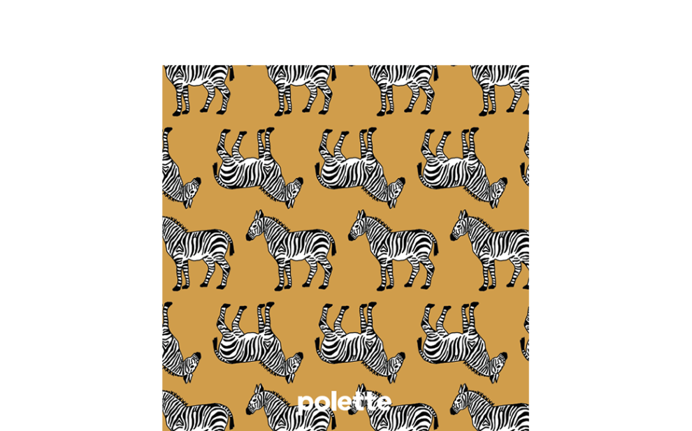 Kenya Zebra