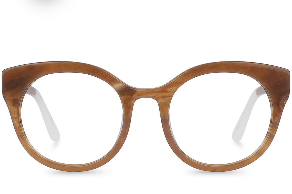 Kittiwake Brown