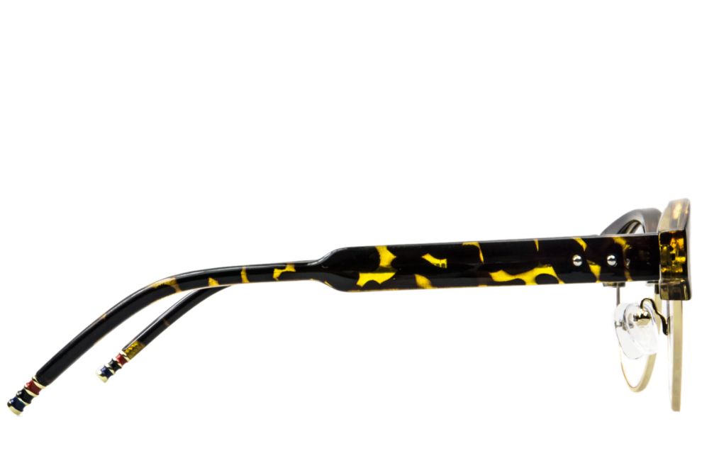 Libellule écaille