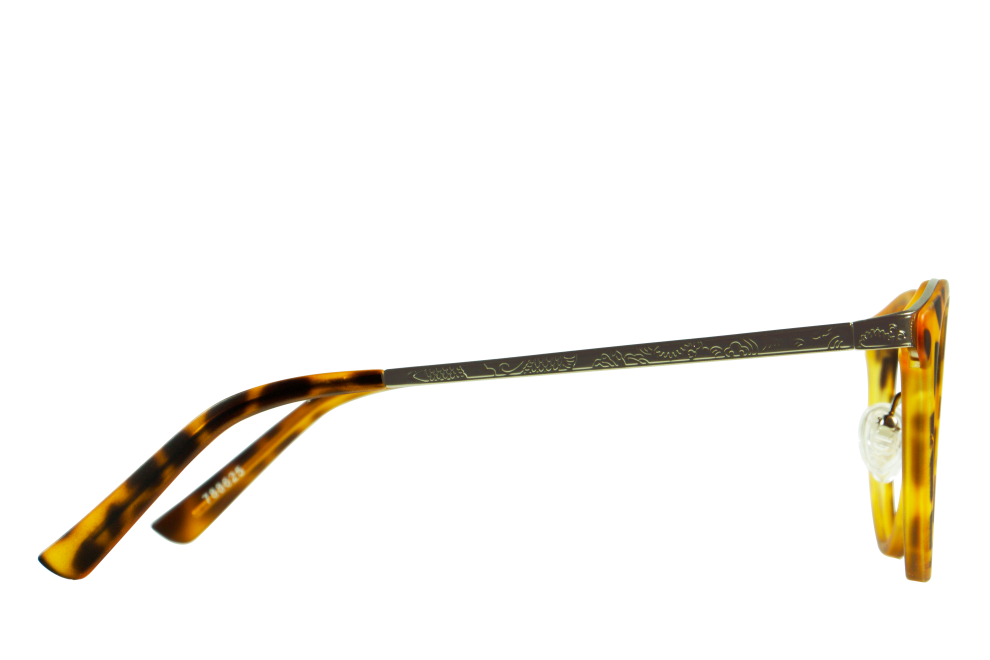 Ludwig