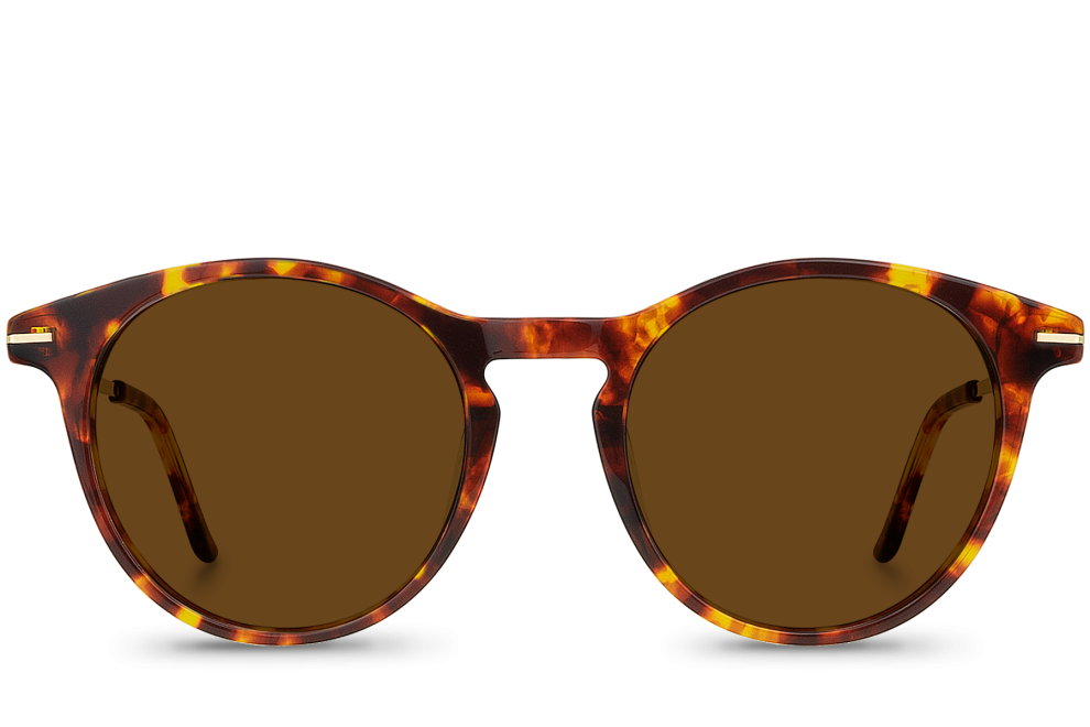 Montaigu Brown