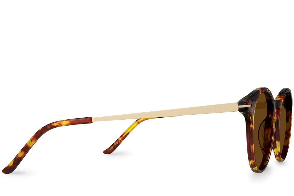 Montaigu Brown